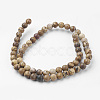 Natural Picture Jasper Bead Strands G-G735-16-6mm-2