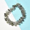 Natural Labradorite Beads Strands G-B064-B62-2