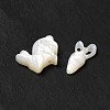 Natural Freshwater Shell Beads Sets BSHE-E026-10-4