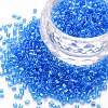 Glass Bugle Beads SEED-S032-11A-103B-1