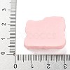 Resin Cabochons RESI-R456-06B-3