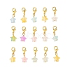 Star Acrylic Pendant Decorations HJEW-JM04576-2
