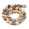 Natural Crazy Lace Agate Beads Strands G-S259-38-10mm-8