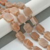 Natural Sunstone Beads Strands G-C098-A12-01-2