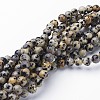 Natural Dalmatian Jasper Bead Strands G-R345-6mm-51-2