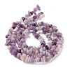 Natural Lepidolite/Purple Mica Stone Beads Strands X-G-P497-03A-06-3