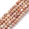 Natural Imperial Jasper Beads Strands X-G-A175C-8mm-01-2