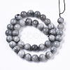 Natural Hawk's Eye Beads Strands G-R462-047B-2