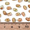 Picasso Glass Seed Beads SEED-N012-10D-4