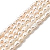 Natural Cultured Freshwater Pearl Beads Strands PEAR-I007-01L-01A-2