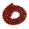 Dyed & Heated Natural Carnelian Beads Strands G-K376-F24-01-3