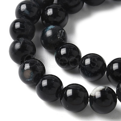 Natural Black Lip Shell Beads Strands SSHEL-C013-01A-1