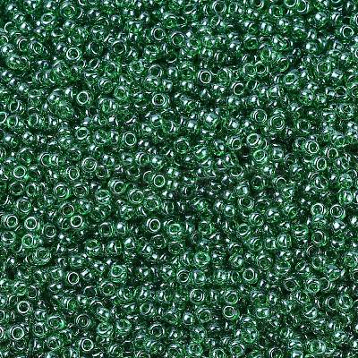 MIYUKI Round Rocailles Beads X-SEED-G007-RR0173-1