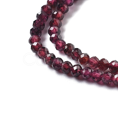 Natural Garnet Beads Strands G-H079-A01-02B-1