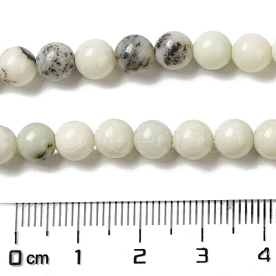 Natural Dendritic Jasper Beads Strands G-H298-A15-02-1