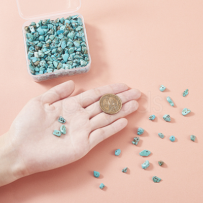 Synthetic Turquoise Chip Bead Strands G-CJ0001-09-1