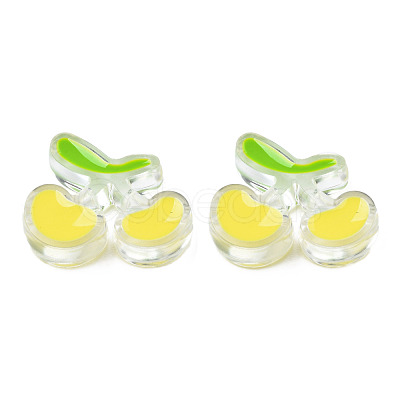 Transparent Acrylic Enamel Beads TACR-N012-006G-1