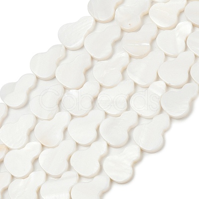 Natural Freshwater Shell Beads Strands SHEL-K010-02C-1