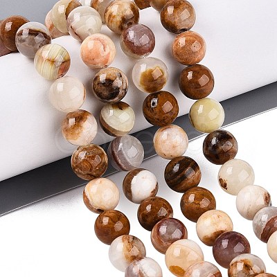 Natural Wood Lace Stone Wooden Jasper Beads Strands X-G-B128-A04-04-1