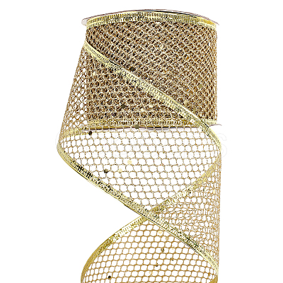 2Rolls Sparkle Polyester Mesh Ribbon with Paillettes OCOR-ME0001-61A-1