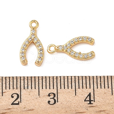 Brass Micro Pave Clear Cubic Zirconia Charms KK-B160-27G-1