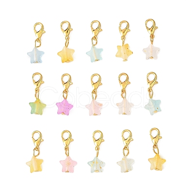 Star Acrylic Pendant Decorations HJEW-JM04576-1