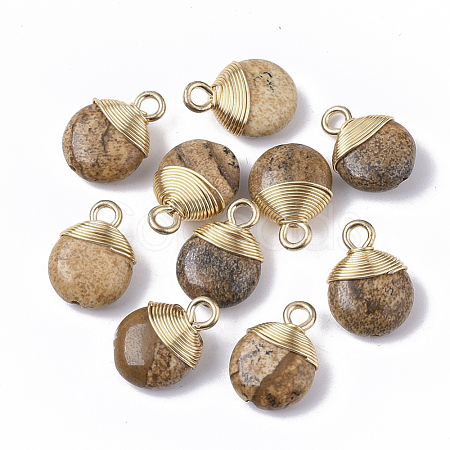 Natural Picture Jasper Pendants G-S359-021D-1
