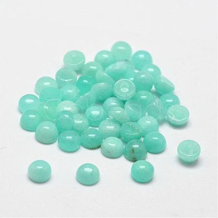 Dome Natural Amazonite Cabochons G-O146-02A-1