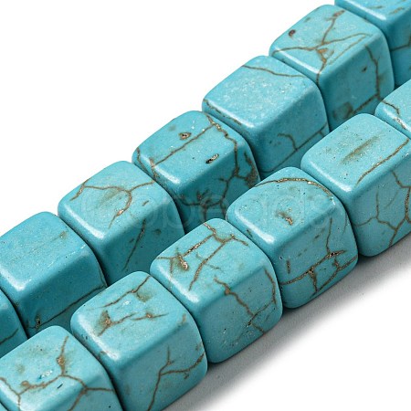 Dyed Synthetic Turquoise Beads Strands G-G075-B02-01-1