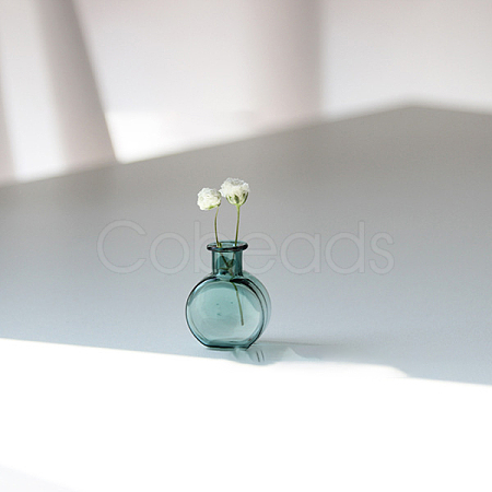 Transparent Miniature Glass Vase Bottles BOTT-PW0006-10D-1