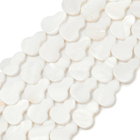 Natural Freshwater Shell Beads Strands SHEL-K010-02C-1