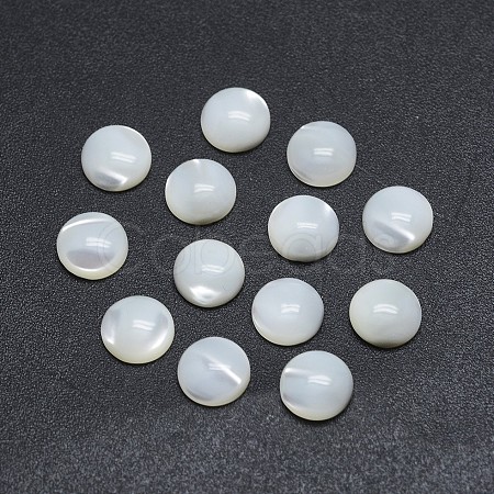 Shell Cabochons SSHEL-P015-61-12mm-1