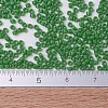MIYUKI Delica Beads SEED-J020-DB0724-4