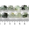 Natural Prehnite Beads Strands G-B065-A06-5