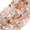 Natural Rutilated Quartz Beads Strands G-P497-01C-20-1