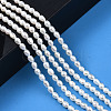 Natural Cultured Freshwater Pearl Beads Strands PEAR-N012-03F-6