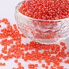 8/0 Glass Seed Beads X1-SEED-A006-3mm-109B-1