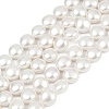 Electroplated Shell Pearl Beads Strands BSHE-G027-13B-2