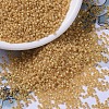 MIYUKI Round Rocailles Beads SEED-JP0008-RR0677-1