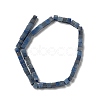 Dyed & Heated Natural Blue Aventurine Beads Strands G-I327-A01-3