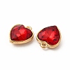 Faceted Glass Rhinestone Pendants GLAA-I051-B16-3