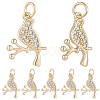 10Pcs Brass Micro Pave Clear Cubic Zirconia Pendants KK-BBC0024-49-1