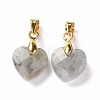 Natural Labradorite Pendants G-C023-07K-2