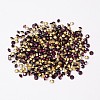 Back Plated Grade A Diamond Glass Pointed Rhinestone RGLA-SS6-016-2
