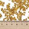 Glass Seed Beads SEED-L011-02B-05-4