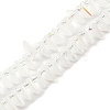 Electroplate Glass Beads Strands EGLA-S176-05A-B11-2