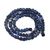 Dyed Natural Lapis Lazuli Beads Strands G-M403-A30-01-3
