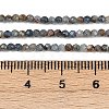Natural Kyanite Beads Strands LS-G-RM2025-A34-2mm-5