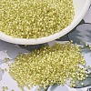 MIYUKI Delica Beads SEED-X0054-DB0623-1