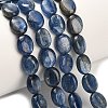 Natural Kyanite Beads Strands G-H335-D01-8x10mm-A-1